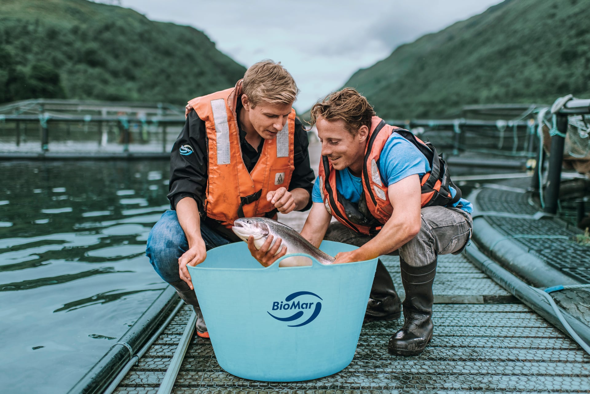Resurse acvacultură — Aquafeed Distribution